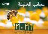 Arabic Fascination of Creation Calendar 2026