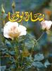 Arabic Gospel of Luke