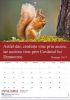 Romanian Words of Life Calendar 2027 (TBS)