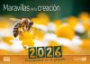 Spanish Fascination of Creation Calendar 2026