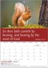 Words of Life Calendar 2027 - English