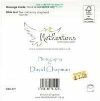 Birthday Card CDC371