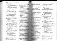 French Bible SB1063