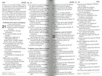 French Bible (SB1048)