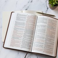 KJV Large Print Thinline Bible, Value Edition