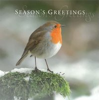 Christmas Card Box of 30