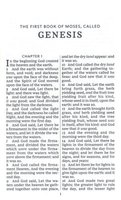 KJV Pew Bible, Large Print