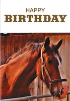 Birthday Card SL50051A