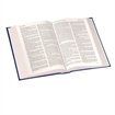 Windsor Text Bible, 25A