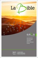 French Bible Large Print (SG12511)