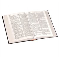 Windsor Text Bible, 25A