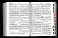 Spanish Reference Bible, Giant Print, Indexed with Zip