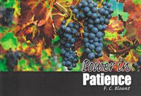 Power in Patience