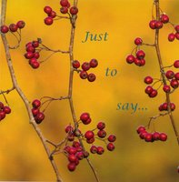 Just to Say Card CDC333