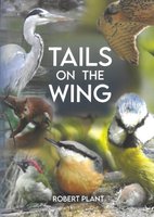 Tails on the Wing