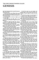 KJV Large Print Thinline Bible