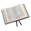KJV Royal Ruby Text Bible, 31ABKP
