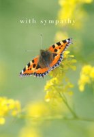 Sympathy Card 2688
