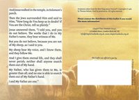 The Story of a Shepherd, Pack of 1000