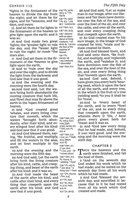 KJV Large Print Center-Column Reference Bible, Comfort Print--bonded leather, brown (indexed)