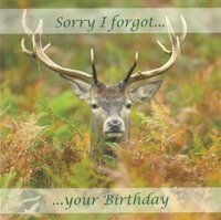 Birthday Card Sorry, CDC370