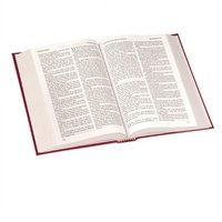 Windsor Text Bible, 25A