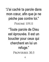 French Personal Mini Bible