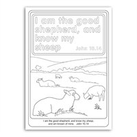 God's Creatures Colouring Book