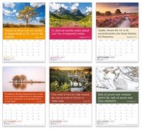 Romanian Words of Life Calendar 2027 (TBS)
