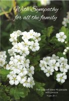 Sympathy Card CN125