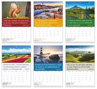 Romanian Words of Life Calendar 2027 (TBS)
