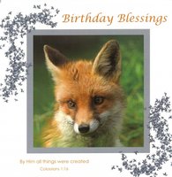 Birthday Card CDC317