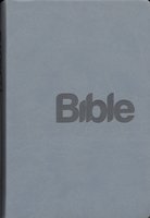 Czech Bible, Preklad 21