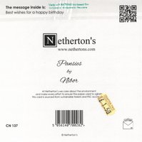 Birthday Card CN137