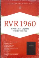 Spanish Reference Bible, Giant Print, Burgundy