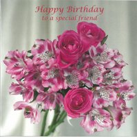 Birthday Card Special Friend CN196