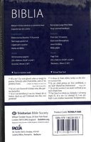 Romanian Large Print Bible