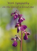 Sympathy Card CDC182