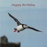 Birthday Card CN211