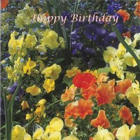 Birthday Card CN160