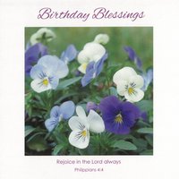 Birthday Card CN137