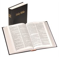 Windsor Text Bible, 25A