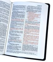 Spanish Bible, Gift & Award