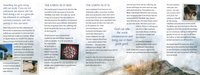Where is God in a Messed-up World?