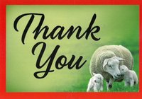 Thank You Tip Card
