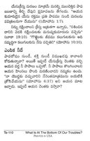 Telugu 110 "What Is At The Bottom Of Our Troubles?"
