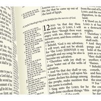 Westminster Reference Bible 90A/BK