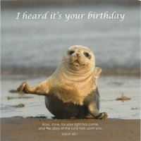 Birthday Card cdc278