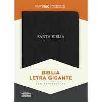 Spanish Bible, Large Print, with References