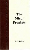 The Minor Prophets